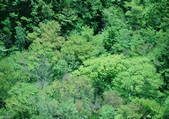 tkf001_140002