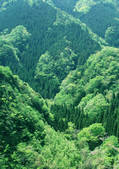tkf001_140003