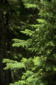 tkf001_202405