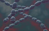 tkf001_214092