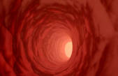 tkf001_222069