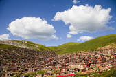 tkf001_299202