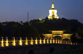 tkf001_302856