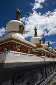 tkf001_304466