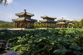 tkf001_304590