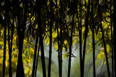 tkf001_304915