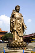 tkf001_304994