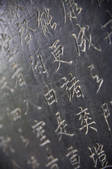 tkf001_305333
