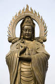 tkf001_307737