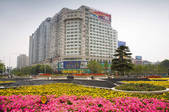 tkf001_307982