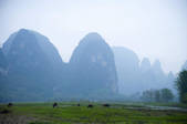 tkf001_308074