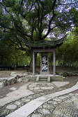 tkf001_314211