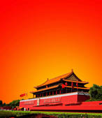 tkf001_315882