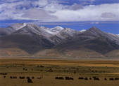 tkf001_337027
