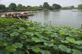 tkf001_337038