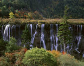 tkf001_338089