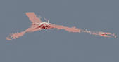 tkf001_405770