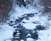 tkf001_755450