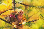 tkf001_762336