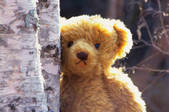 tkf001_762367