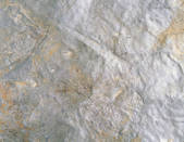 tkf001_775954