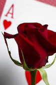 tkf001_782258