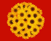 tkf001_782704