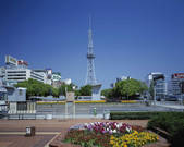 tkf001_792568