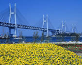 tkf001_793402