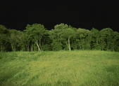 tkf001_794359