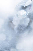 tkf001_794807
