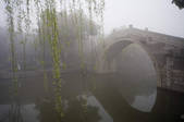 tkf001_795116
