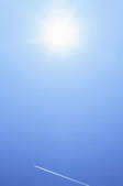 tkf001_795767