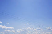 tkf001_795799