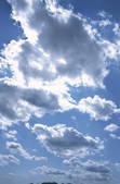 tkf001_795806