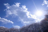 tkf001_795963