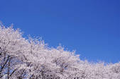 tkf001_795965