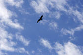 tkf001_796124