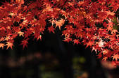 tkf001_796134