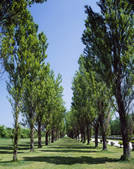 tkf001_797238