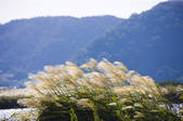 tkf001_797419