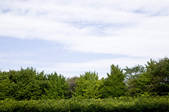 tkf001_797631
