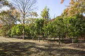 tkf001_797636