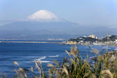 tkf001_798170