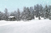 tkf001_798279