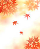 tkf001_798409