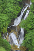 tkf001_798439