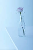 tkf001_798452