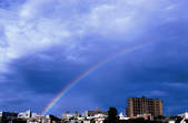 tkf001_798482