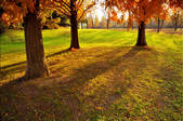 tkf001_798520